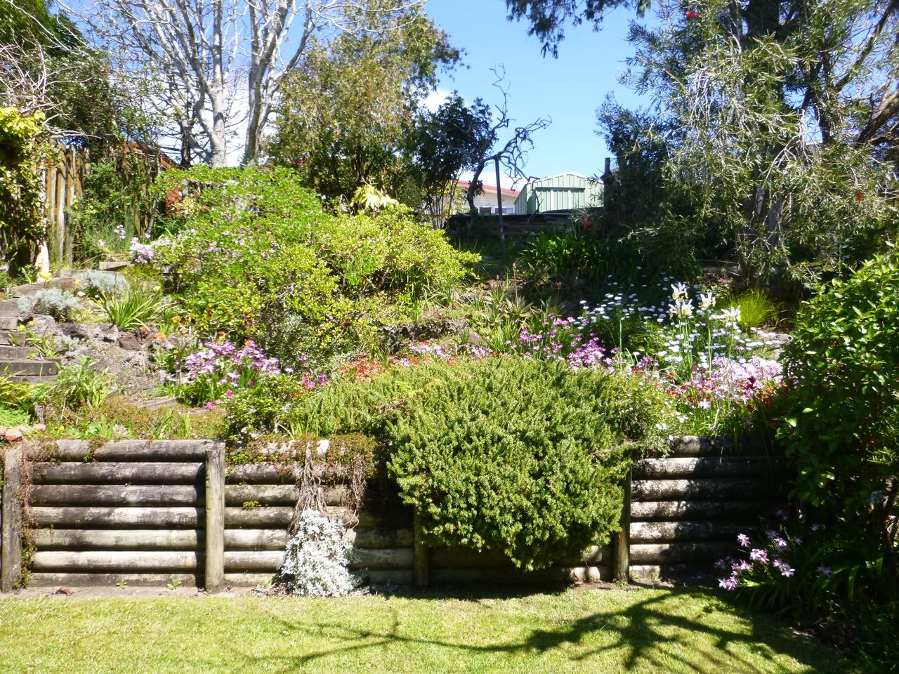 Rockery 1